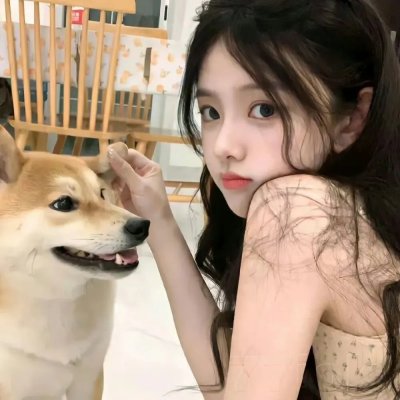 全面追缉 海报