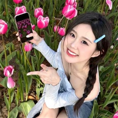 雪莉2024 海报